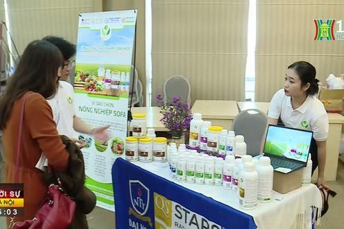Đa dạng lĩnh vực các dự án khởi nghiệp quốc gia 2022