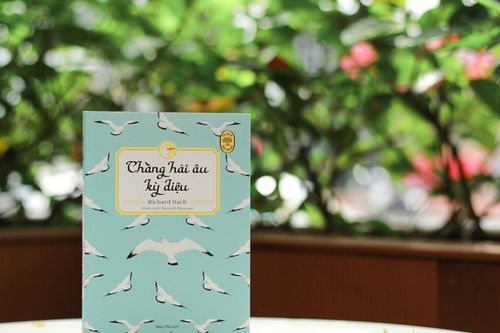 Bài học về tự do và kiên nhẫn từ chàng hải âu lạc loài