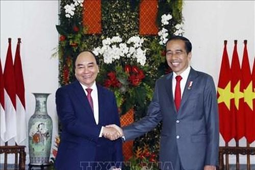 Chủ tịch nước Nguyễn Xuân Phúc hội đàm với Tổng thống Indonesia Joko Widodo