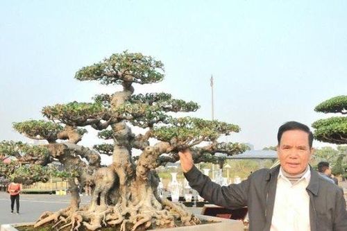 Chiêm ngưỡng bộ 3 'báu vật cổ' trị giá hàng chục tỷ đồng của đại gia Hải Dương