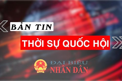 Bản tin Thời sự Quốc hội ngày 22.12.2022