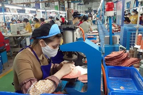 Duy trì hạn chế giao dịch với cổ phiếu G20