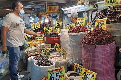 Mùa Giáng sinh 'thắt lưng buộc bụng' ở Mỹ Latinh