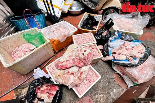 Thu giữ hơn nửa tấn nầm lợn đang phân hủy định bán cho các quán ăn, lẩu nướng