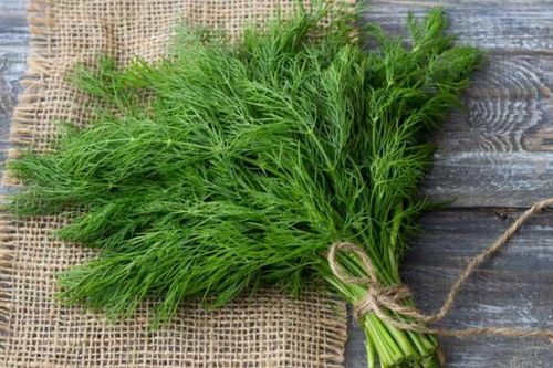 10 loại thực phẩm hỗ trợ điều trị viêm loét dạ dày hiệu quả