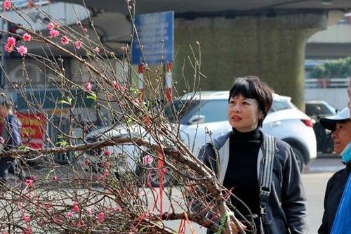 Đào Nhật Tân xuống phố thu hút người chơi sớm