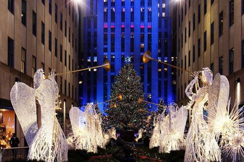 Những cây thông Noel khác lạ trên hành tinh