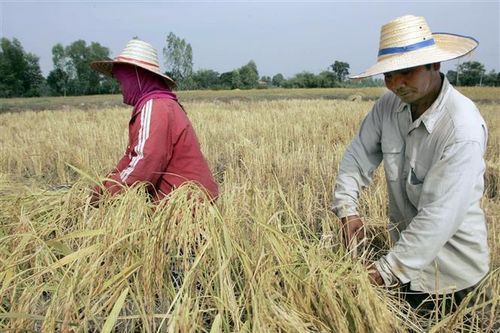 Thái Lan đang triển khai hàng loạt dự án phát triển miền Nam