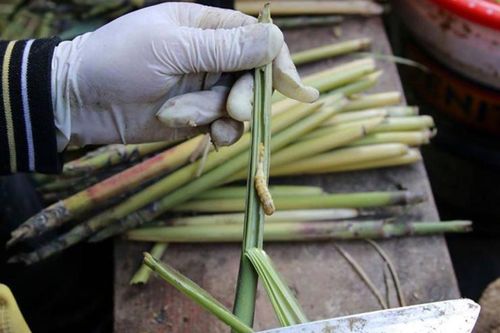 Loài đặc sản trông ghê rợn được coi là 'thần dược phòng the', giá 6 triệu/kg nhà giàu lùng mua