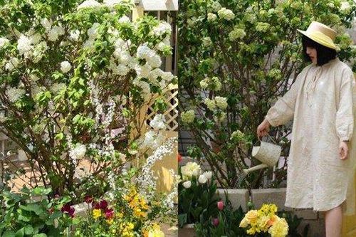 Mãn nhãn trước khu vườn 4 mùa hoa nở, cây cối tươi tốt quanh năm của cô gái 9x