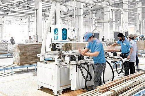 Gỗ An Cường (ACG): Lợi nhuận cả năm 'gần như chắc chắn' đạt 600 tỷ đồng