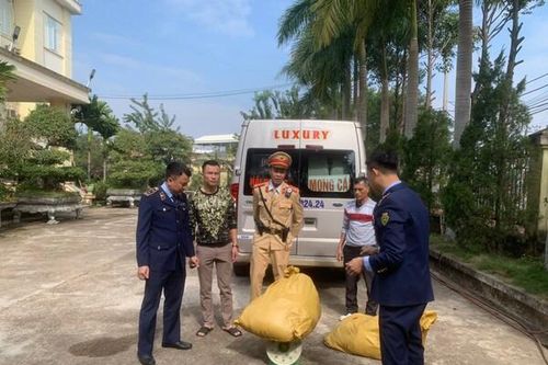 Quảng Ninh: Phát hiện, tiêu hủy 133 kg nội tạng lợn bốc mùi