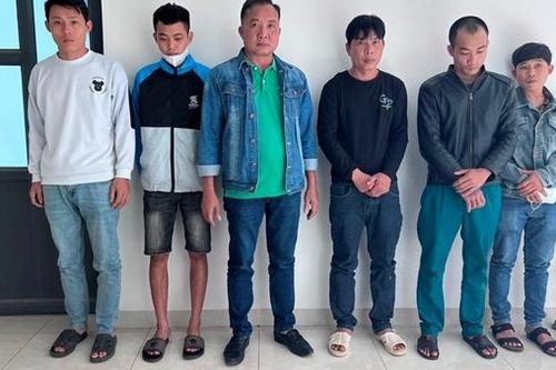 Triệt phá đường dây trộm hàng ngàn con chó mèo