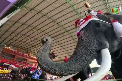 Voi Santa trao quà cho học sinh Thái Lan