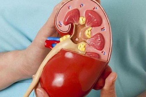 Biến chứng nguy hiểm khi tự ý điều trị hội chứng thận hư ở trẻ em