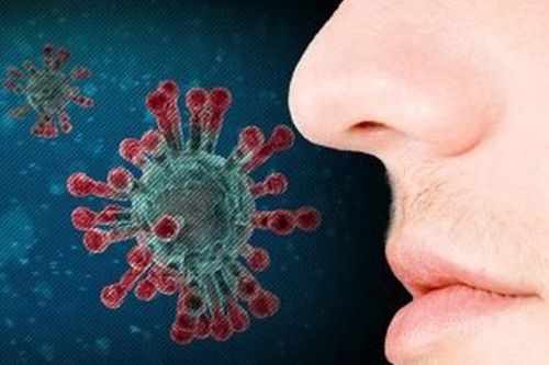 Tổn thương tế bào mũi có thể liên quan đến mất khứu giác sau mắc COVID-19