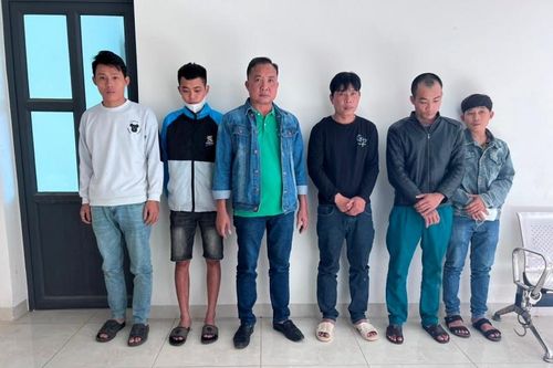 Triệt phá đường dây trộm hàng nghìn con chó