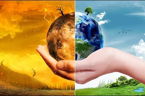 Siêu máy tính 'tiên tri' cuộc đại tuyệt chủng thứ 6 vào năm 2100
