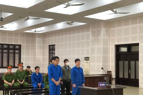 Bảo lãnh chuyên gia 'dỏm' ở lại Việt Nam trái phép