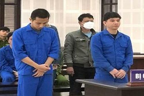 Giúp chuyên gia 'dỏm' ở lại Việt Nam trái phép, 4 người lĩnh án