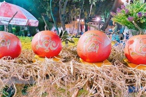 Loại quả đặc sản 'tiến vua' từng bị thất sủng, nay bán tới 1 triệu đồng/quả để trưng Tết