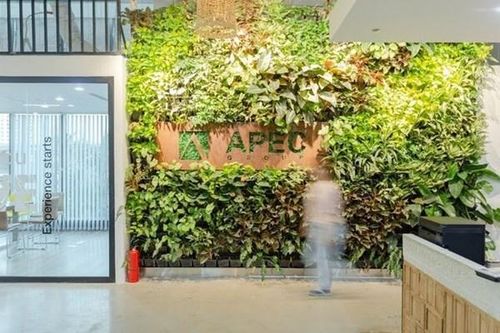 Mua 'chui' cổ phiếu, Chứng khoán APEC bị phạt 250 triệu đồng
