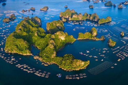 Cập nhật tin tức môi trường nổi bật ngày 26/12