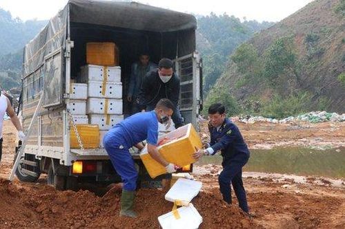 Tiêu hủy hơn 7 tấn tràng trứng gà non đông lạnh trị giá hơn 1 tỷ đồng