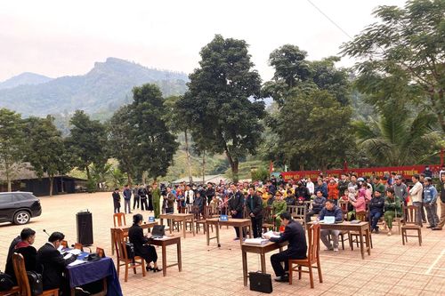 Hơn 10 năm tù cho 2 đối tượng phá rừng phòng hộ