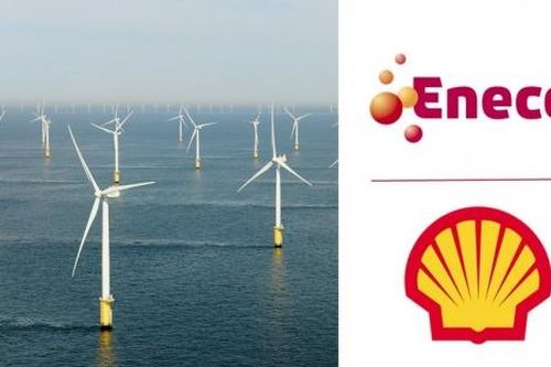 Shell và Eneco trúng thầu dự án trang trại gió Hollandse Kust VI
