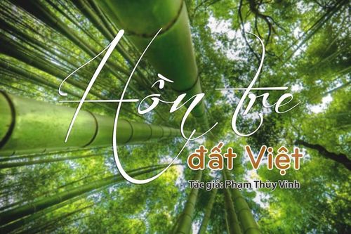 Tiếng Nghệ: Hồn tre đất Việt