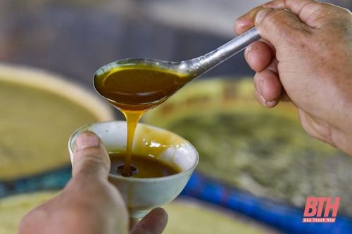 Những ngày giáp Tết ở 'thủ phủ' mật mía Thạch Thành