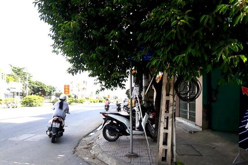 Bảng tên đường bị cây xanh che khuất