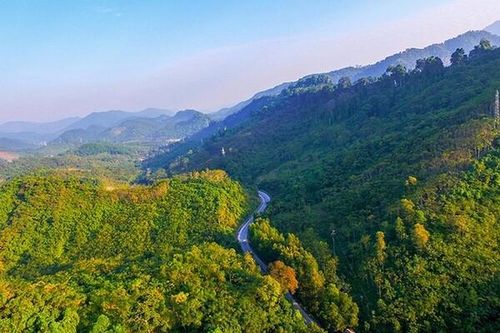 Quản lý rừng - Cần đề xuất chính sách thúc đẩy cộng đồng hợp tác