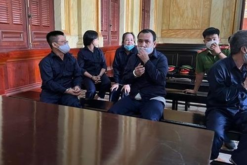 Hai án tử hình và 3 chung thân trong vụ ma túy ngụy trang sữa Vinamilk