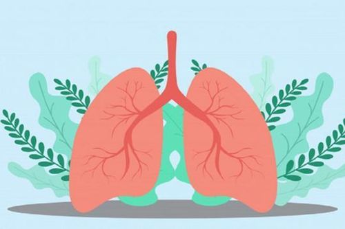 Cách bảo vệ phổi khi trời lạnh
