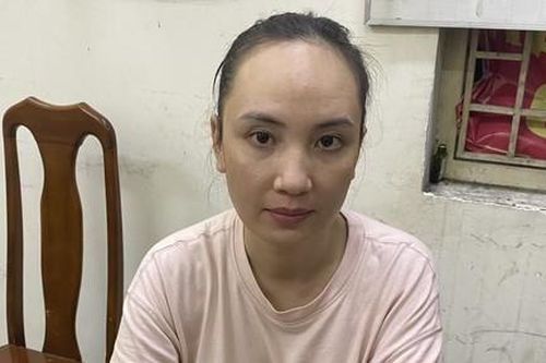 Bị bắt sau khi truy nã, người phụ nữ trong vụ xâm chiếm nhà 29 Nguyễn Bỉnh Khiêm khai gì?