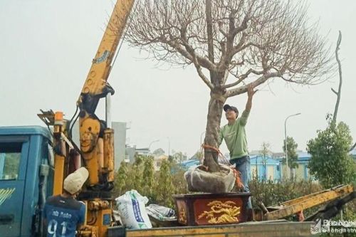 Những làng nghề 'nghe tên là thấy Tết' ở Nghệ An