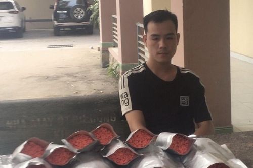 Đồng Nai: Triệt phá đường dây mua bán ma túy liên tỉnh quy mô lớn
