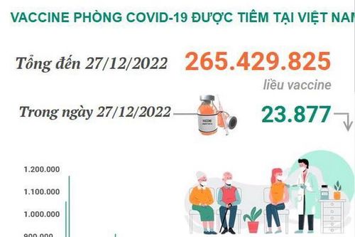 Tình hình tiêm vaccine phòng COVID-19 tại Việt Nam