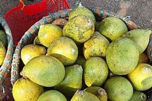 Loại quả lạ 90% người Việt không biết tên, giờ là đặc sản bày lên mâm ngũ quả ngày Tết