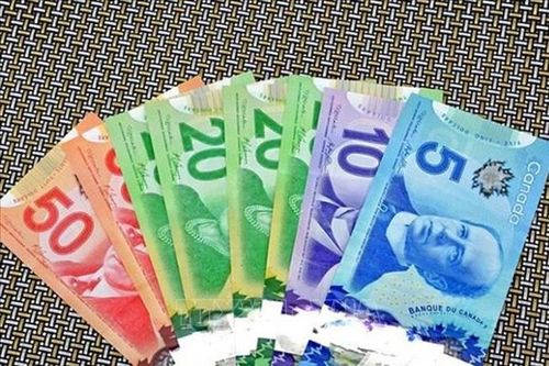 Canada có thể chuyển hướng viện trợ nhân đạo cho nước đang phát triển