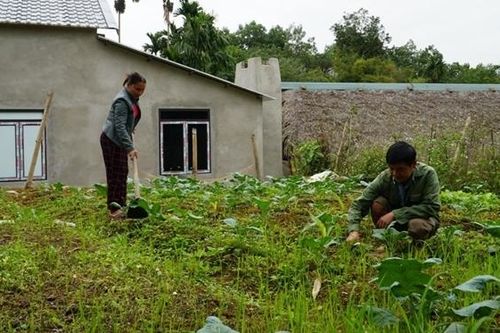 Nhận thức đổi thay từ những lá đơn thoát nghèo ở Yên Bình