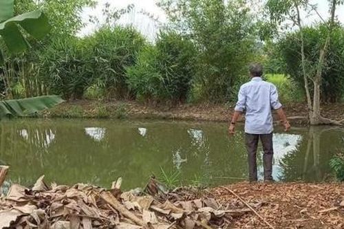Vợ chồng đi làm thuê, 2 con nhỏ tự chơi đuối nước thương tâm