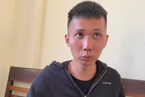 Bắt được nghịch tử chém mẹ trọng thương