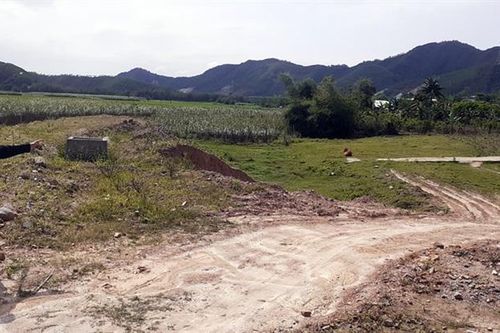 Sống tạm!