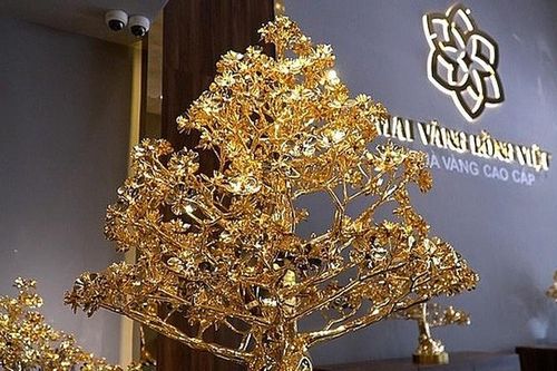 Sửng sốt trước siêu phẩm cây 'mai lạ' không cần tưới