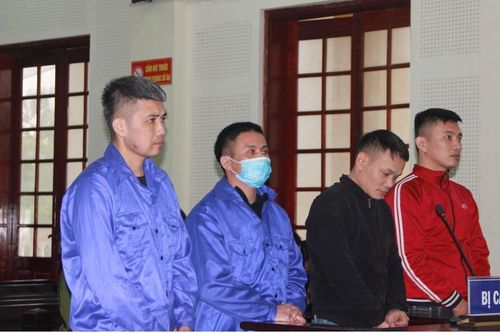 Nhóm 'cẩu tặc' dùng súng điện, xe tải đi trộm chó