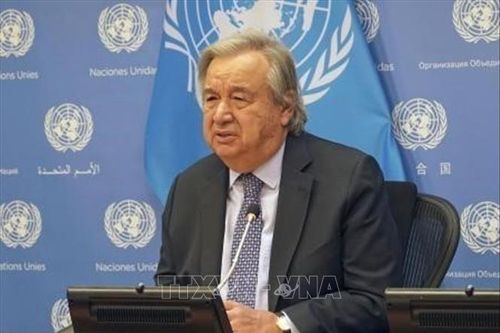 Tổng thư ký LHQ kêu gọi chú trọng hòa bình trong thông điệp Năm mới 2023
