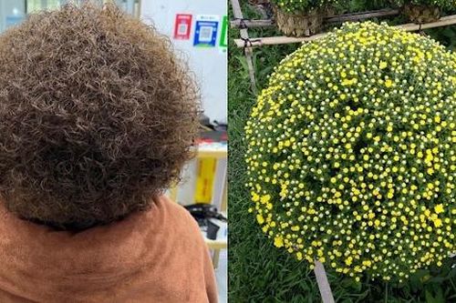 Hí hửng làm tóc đón Tết, nhiều chị em khóc ròng vì 'tiền mất tật mang'